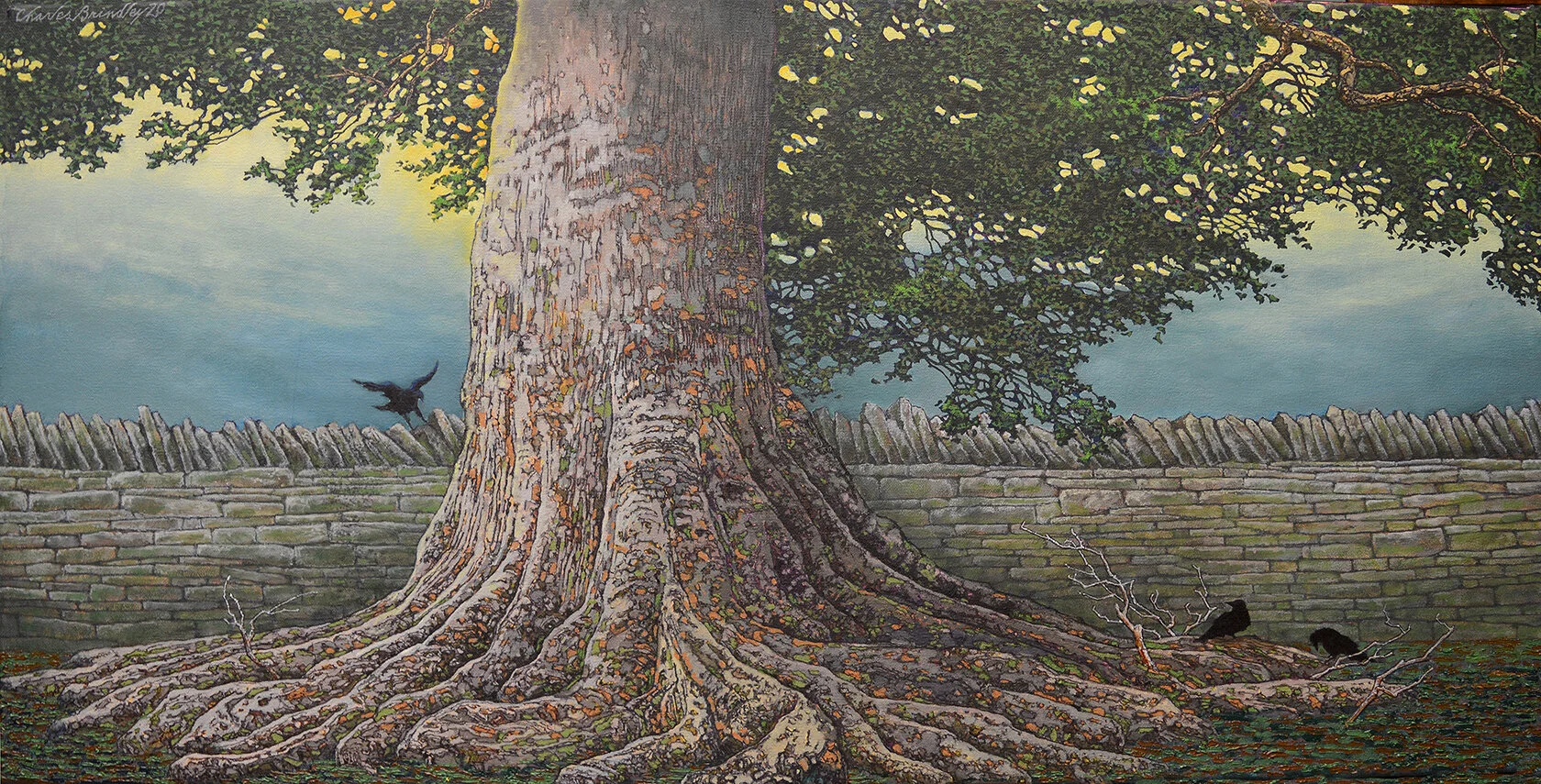   Giant Beech Tree in Summer Near Old Rock Wall,  2020, oil on canvas, 18x36 inches. Inventory of the artist, nicely framed, (framed size approx 22x40), $3,800.  Recently Purchased  