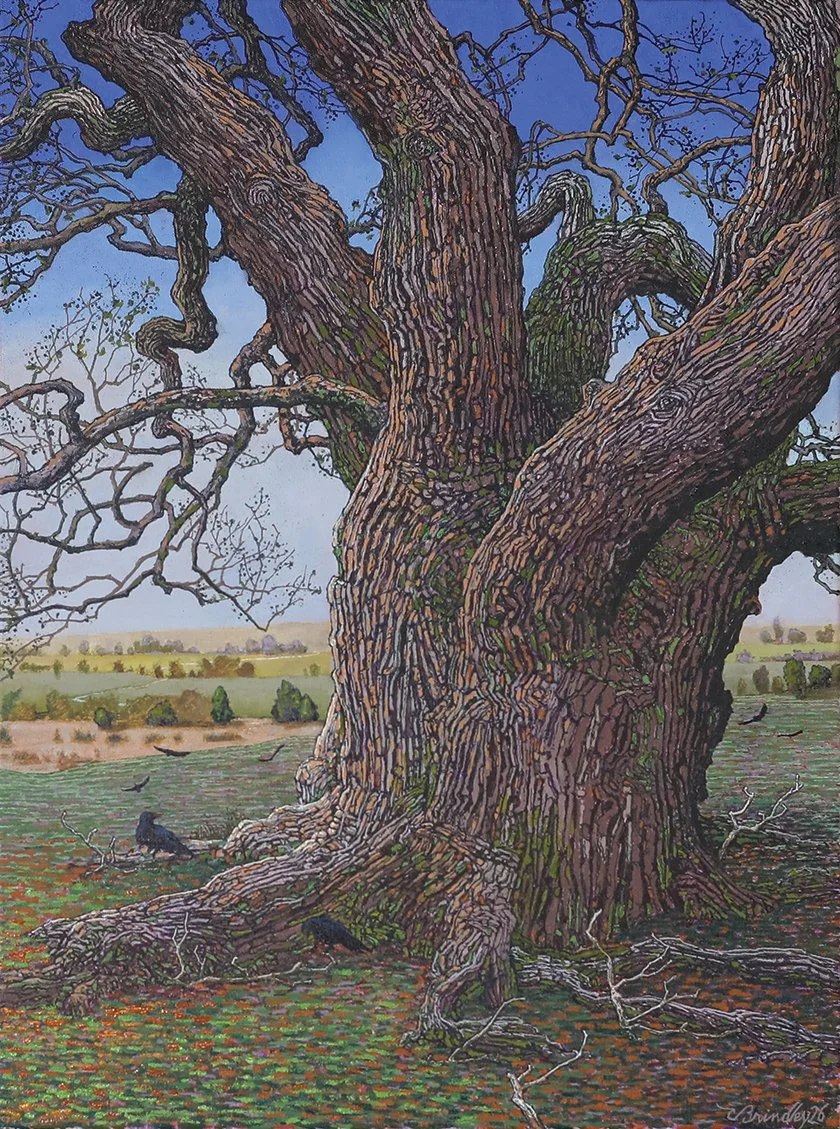   Giant Osage Orange in Open Field,  2026, oil on canvas, 24×18 inches. Inventory of the artist. Nicely framed (framed size approx 30×24). $2,600. 