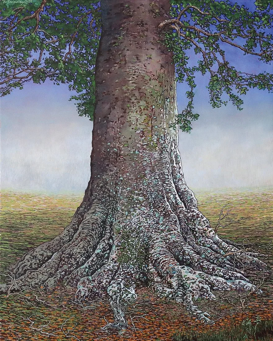   Ancient Beech Tree in Summer,  2026, oil on canvas, 30×24 inches. Inventory of the artist. $3,400. 