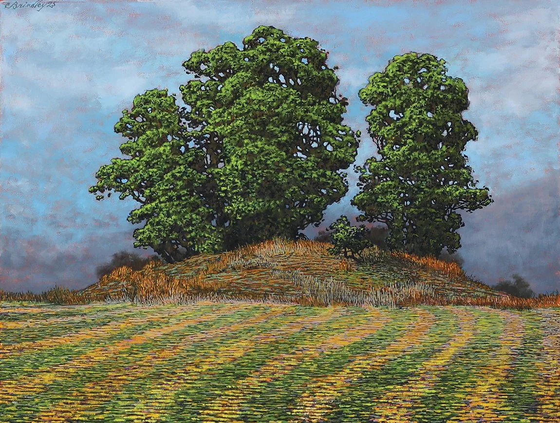   Copse on Edge of a  Field,  2025, oil on canvas, 24×18 inches. Inventory of the artist. Nicely framed (framed size approx 30×24). $2,600. 