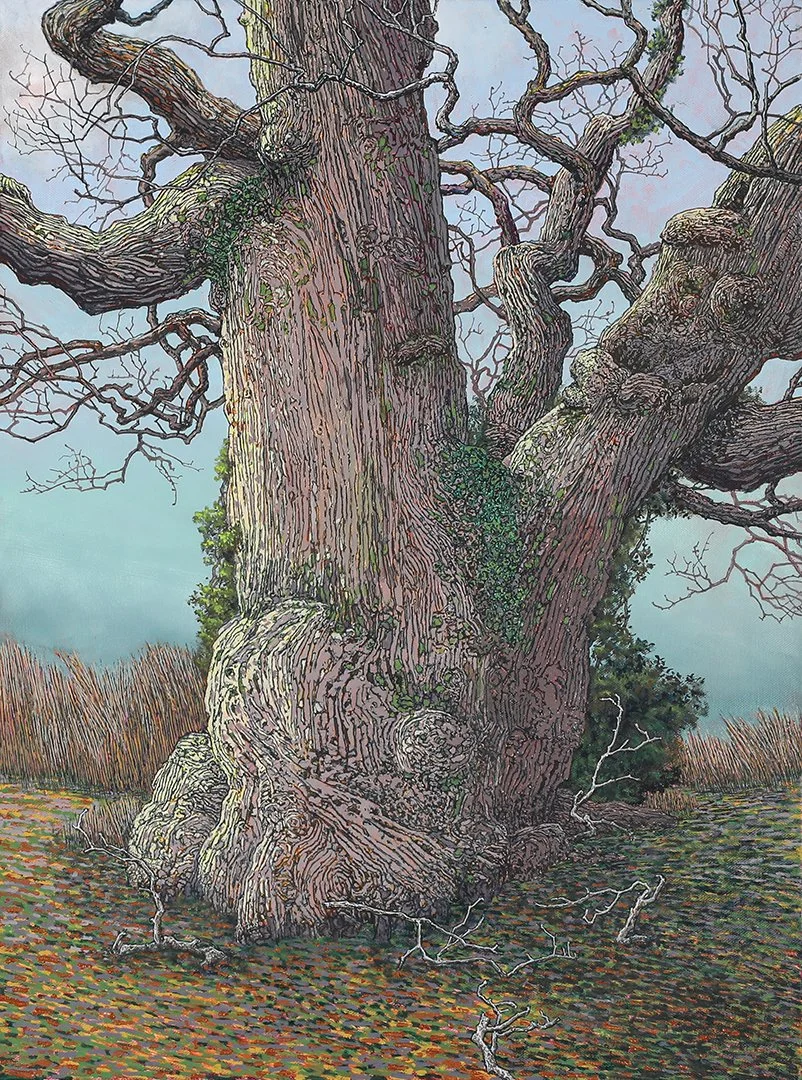   Ancient Chinquapin Oak on Edge of Hillside,  2026, oil on canvas, 24×18 inches. Inventory of the artist. Nicely framed (framed size approx 30×24). $2,600. 