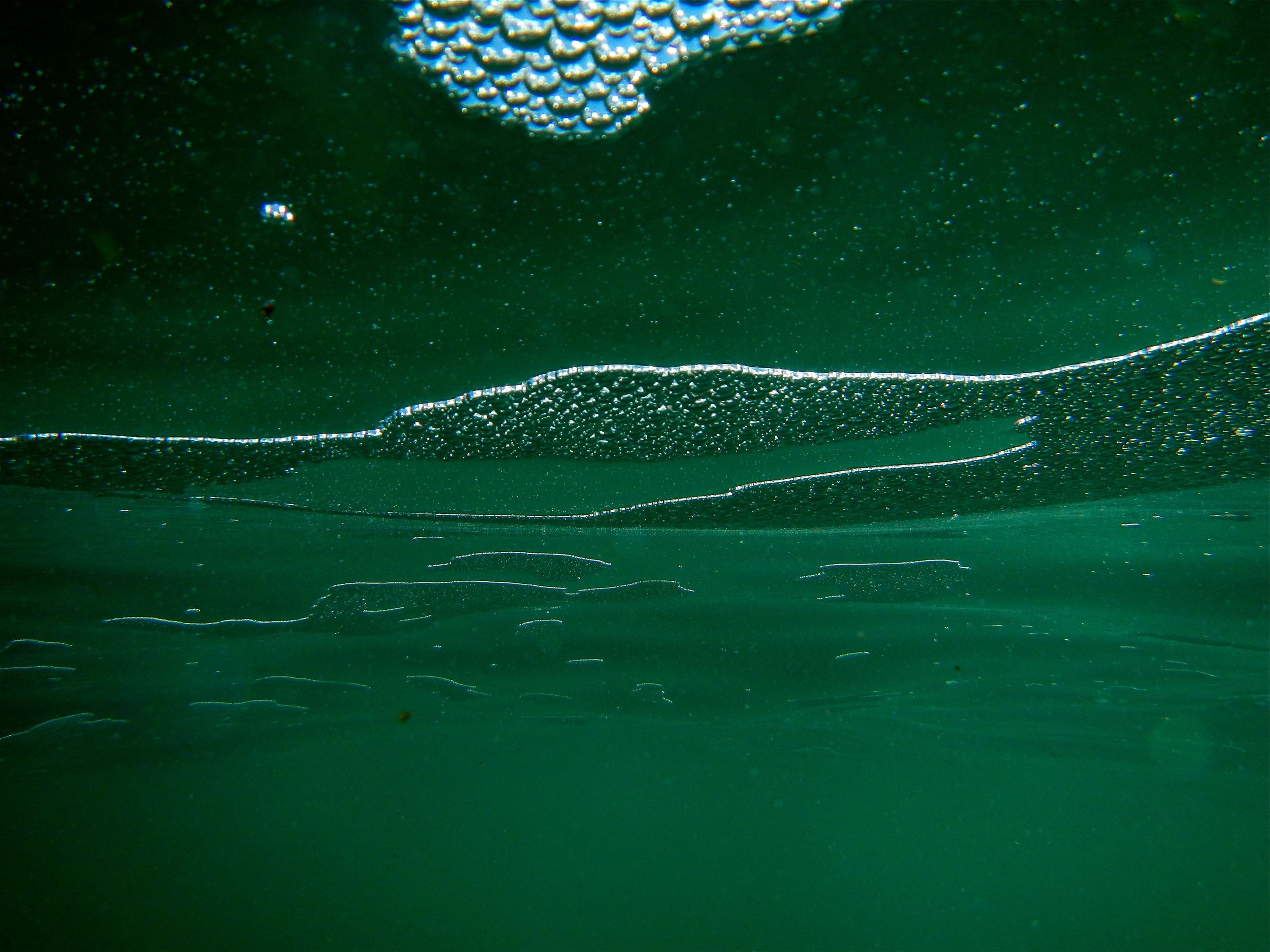 foam horizon medium.jpg