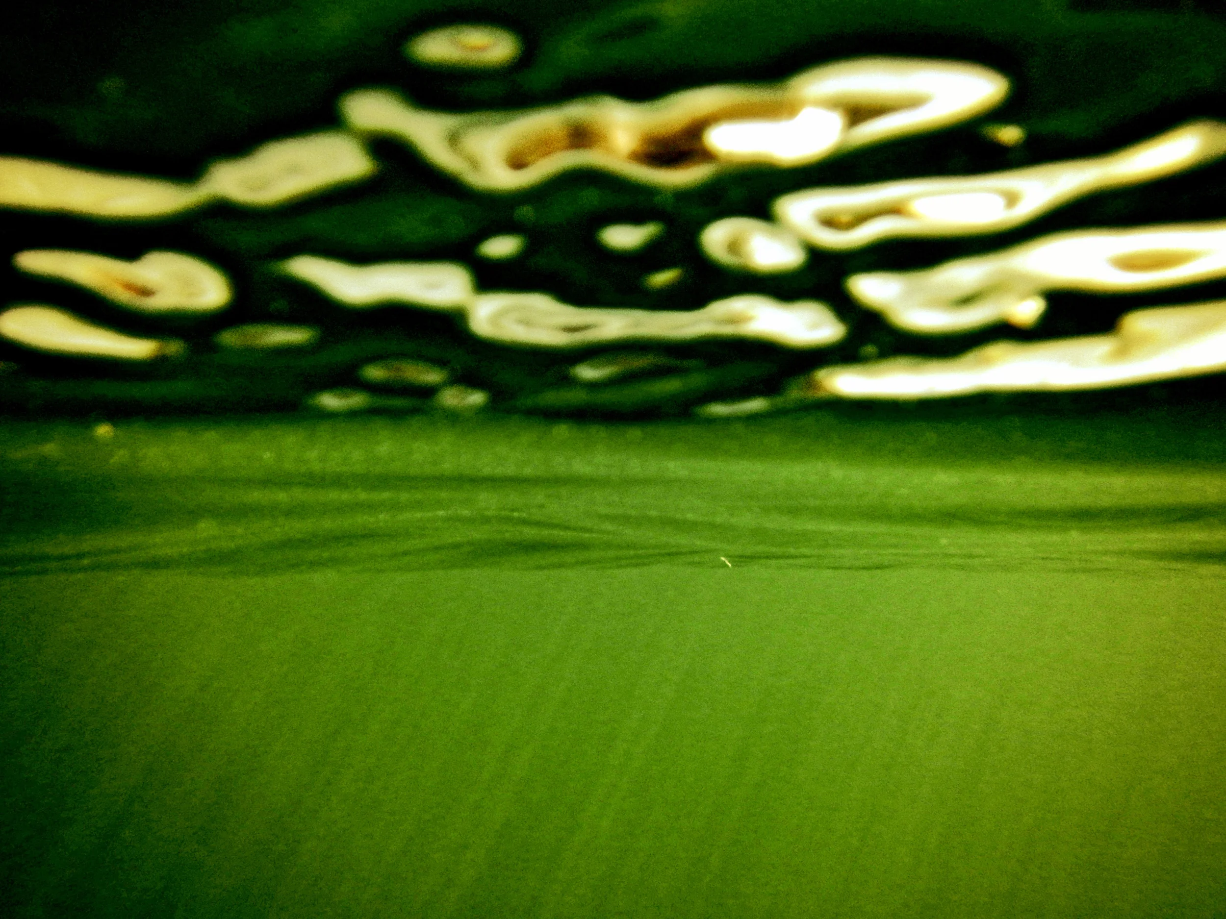 green.jpg