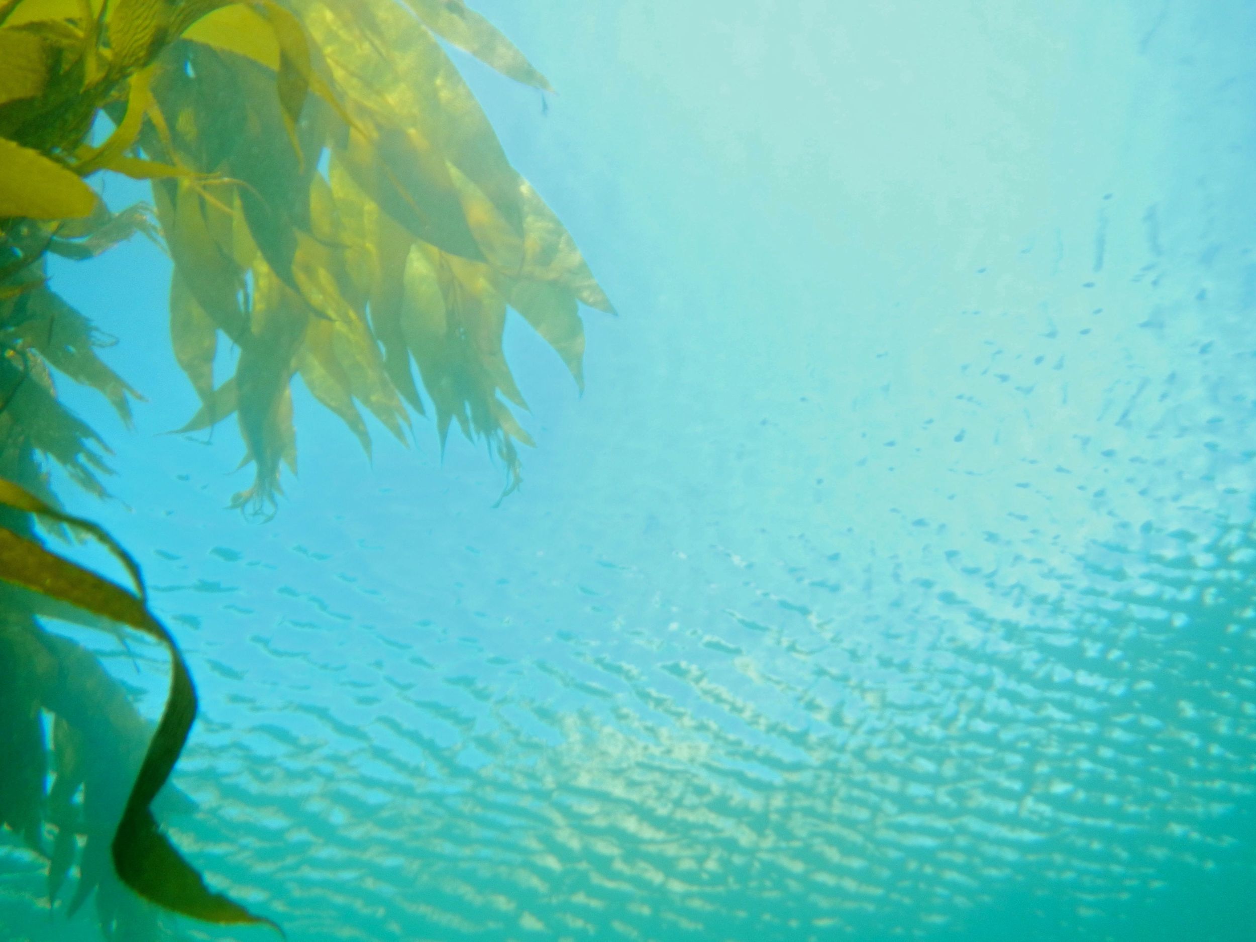 below ripples medium.jpg
