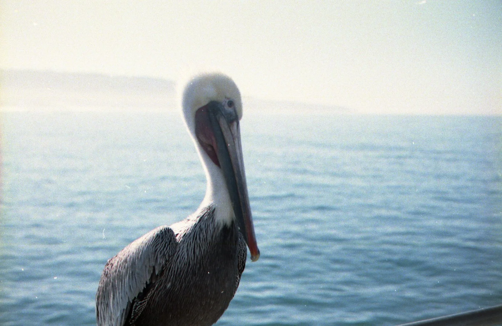 35mm scans197.jpg