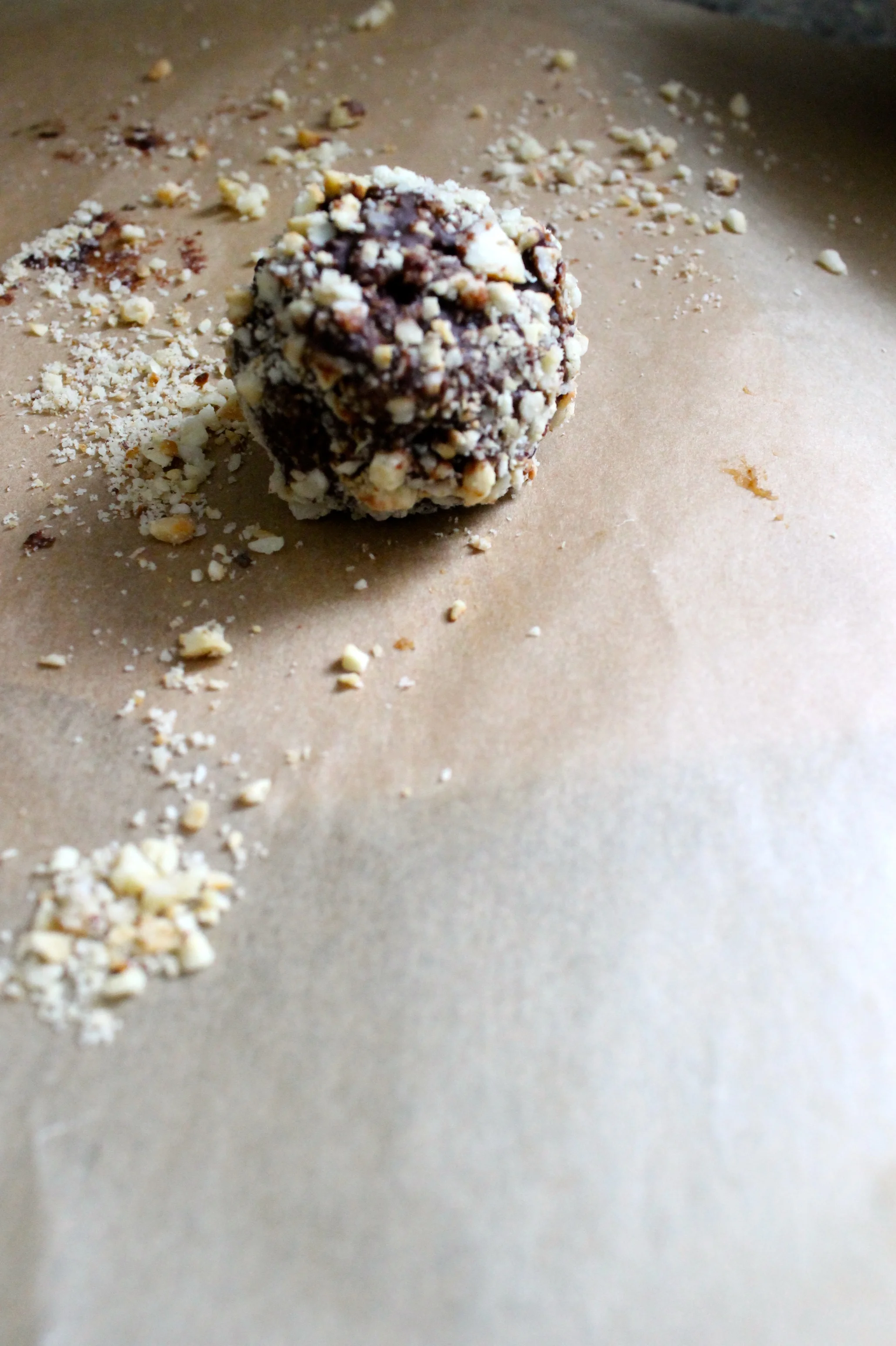 Hazelnut Pralines