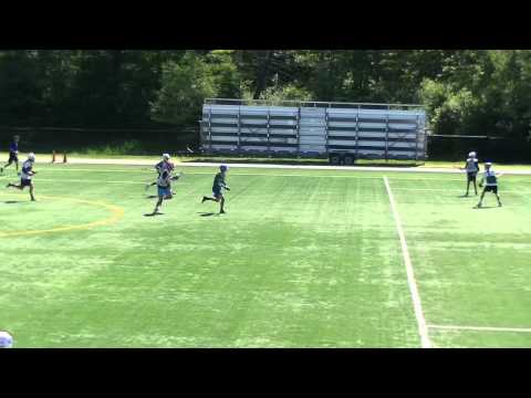 Stevan Kriss 2016: Summer 2014 highlights