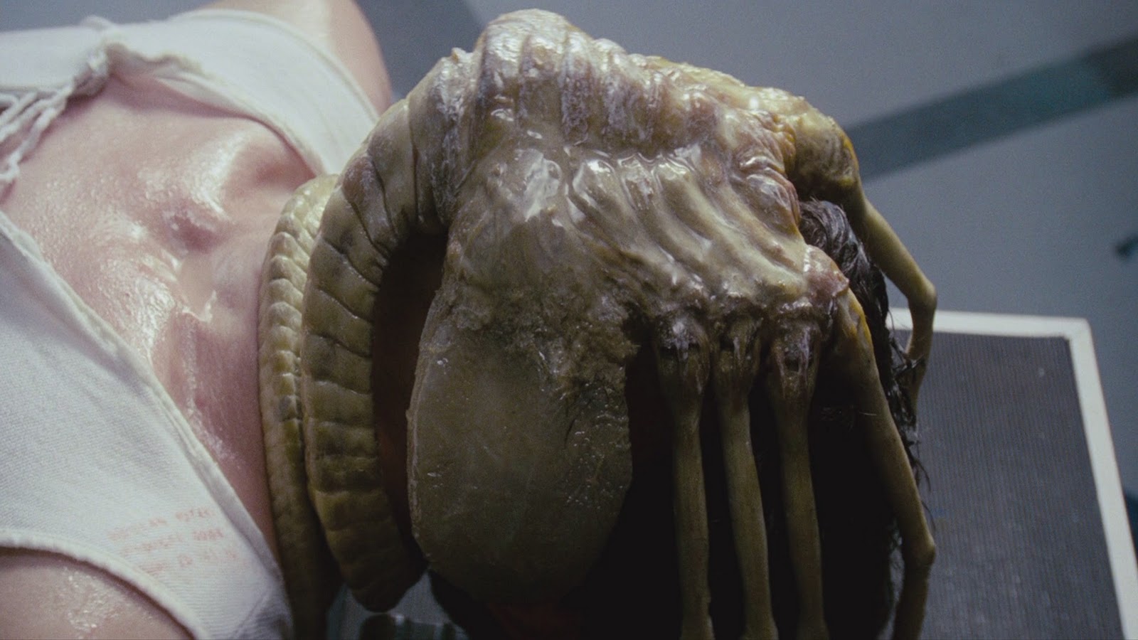 alien1979directorscut10.jpeg