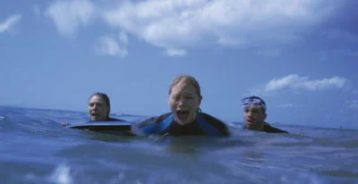 the reef.jpg