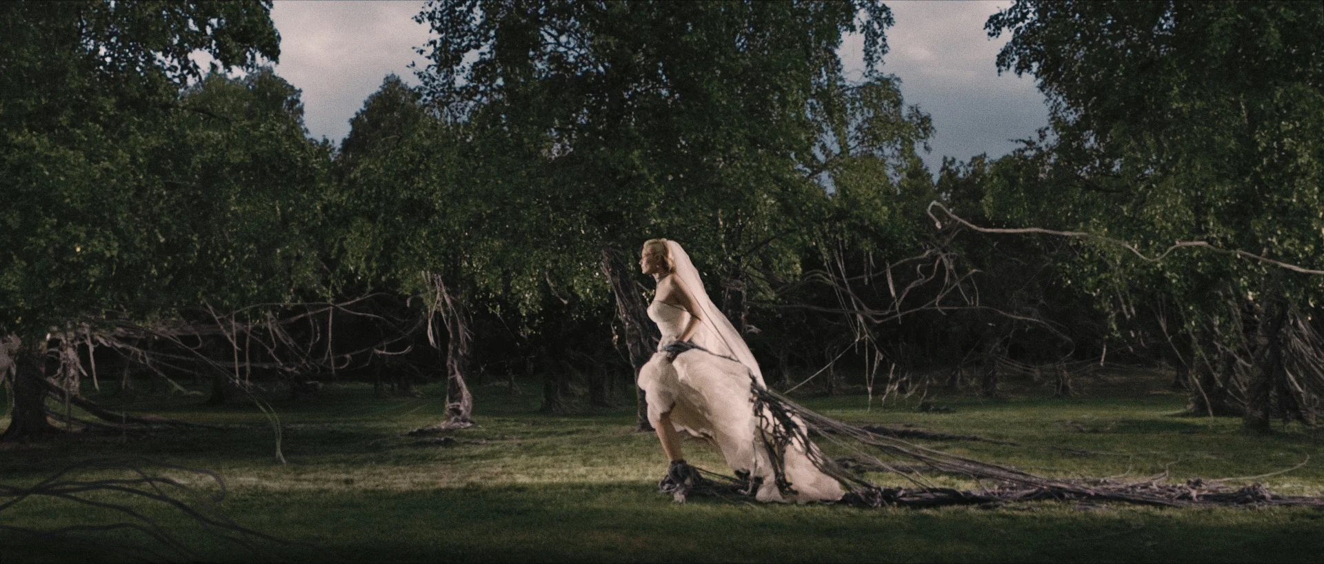 Melancholia_F11_framegrab.jpg
