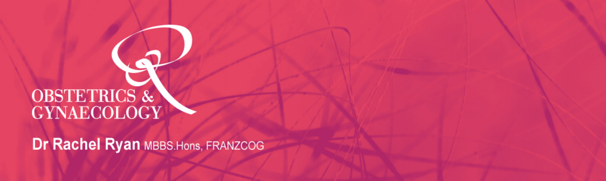 ryanrach_web-banner-2.png