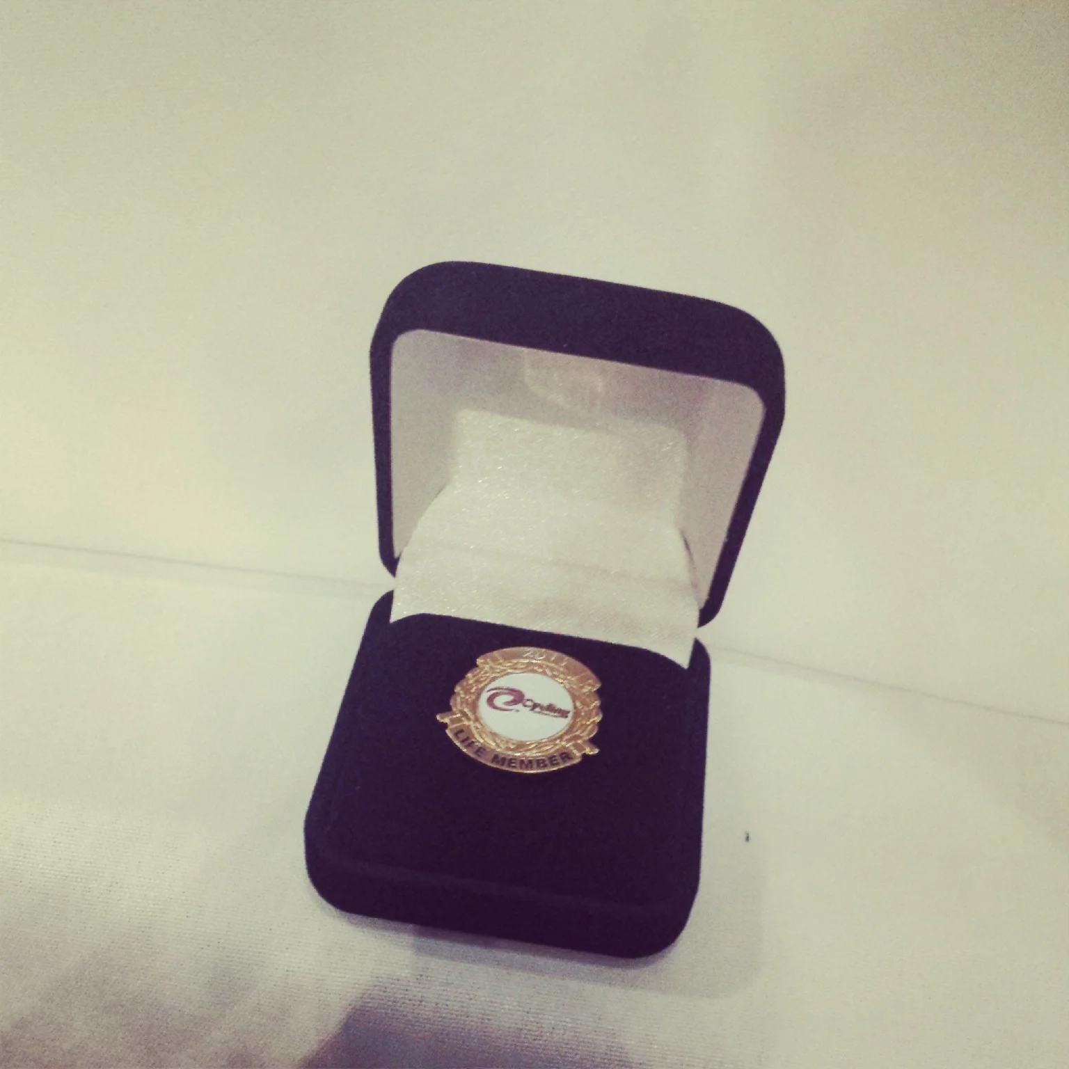 Mr Peter Rasell's Life Membership pin.