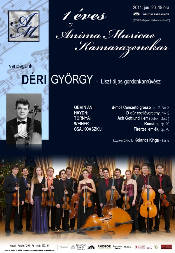 Egy+ves+az+Anima+Musicae+Kmarazenekar+2010.jpg