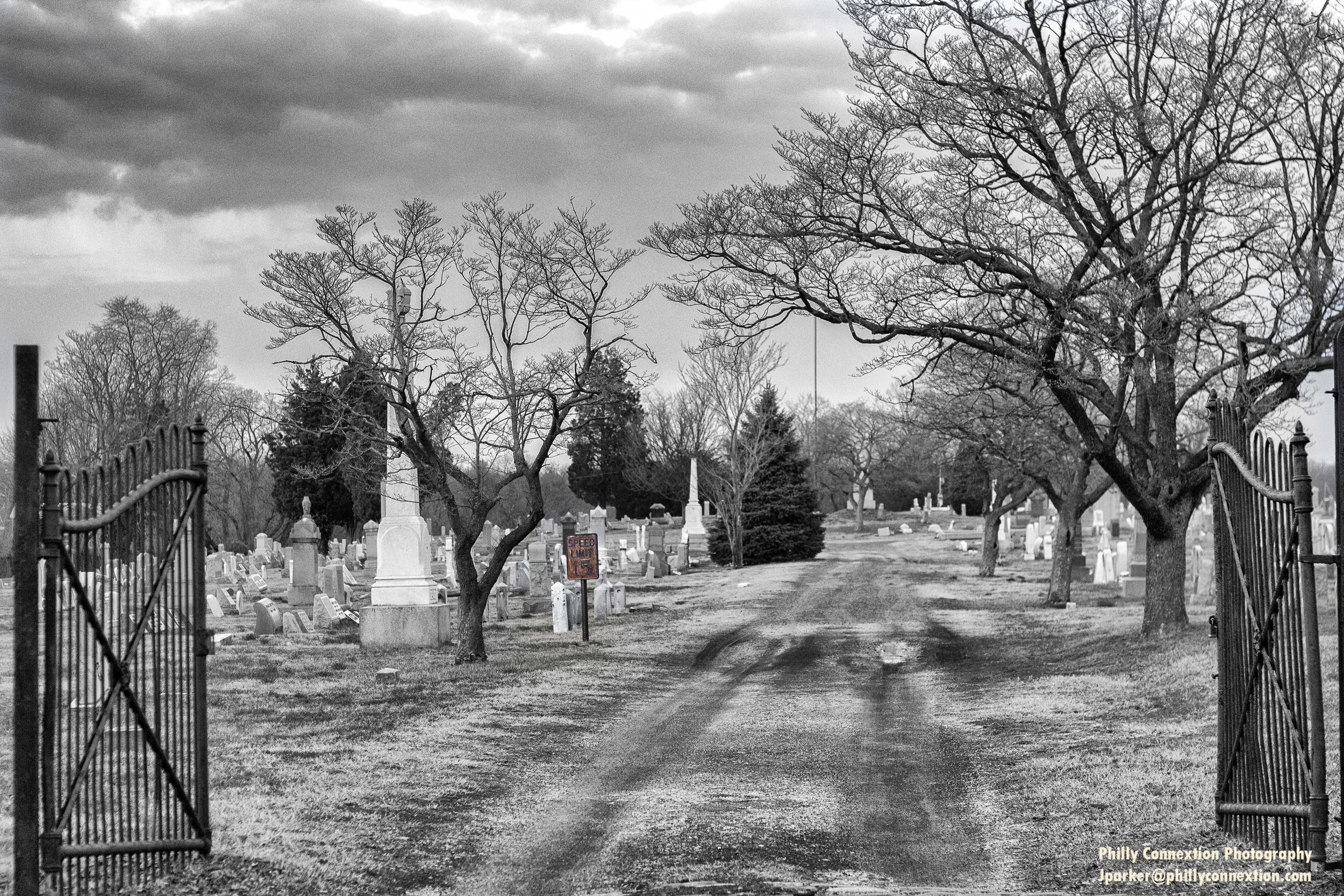 IMG_5998_B&W.jpg