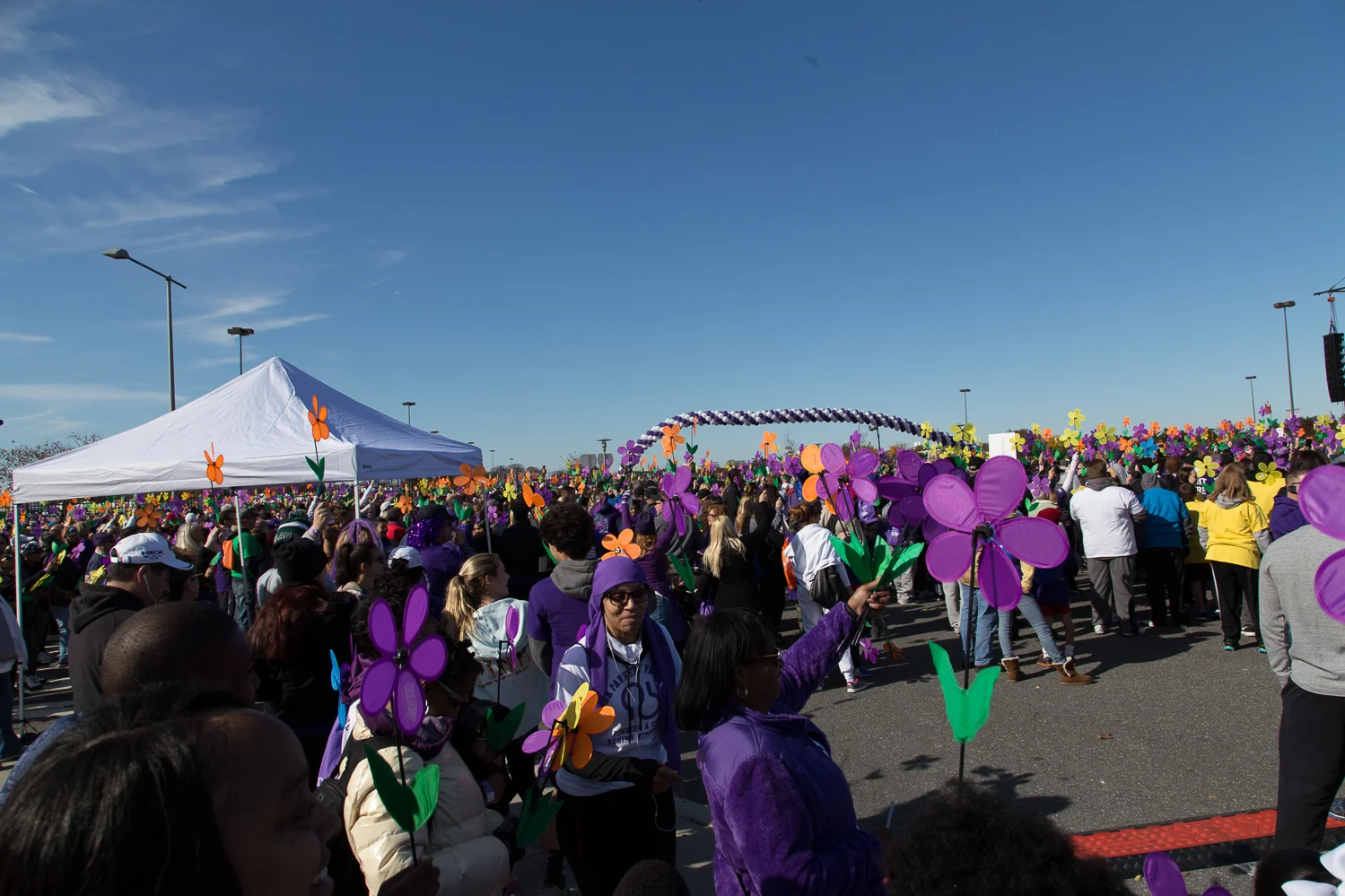 Walk2015_0113.jpg