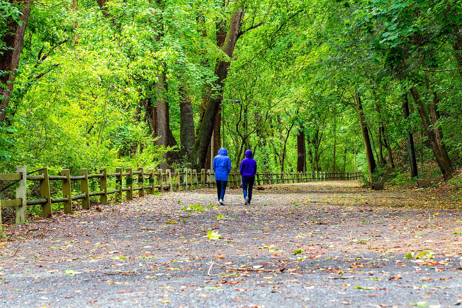 Friends walking in the park on an autum day