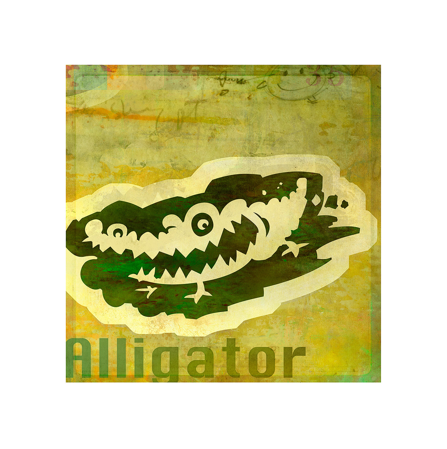 alligator.