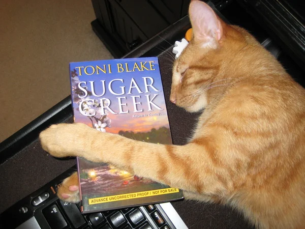 Author Kristen Painter's cat, Jack, clearly appreciates the fact that each Destiny book features a different fictional cat, and he reports that Sugar Creek is his all time favorite book.