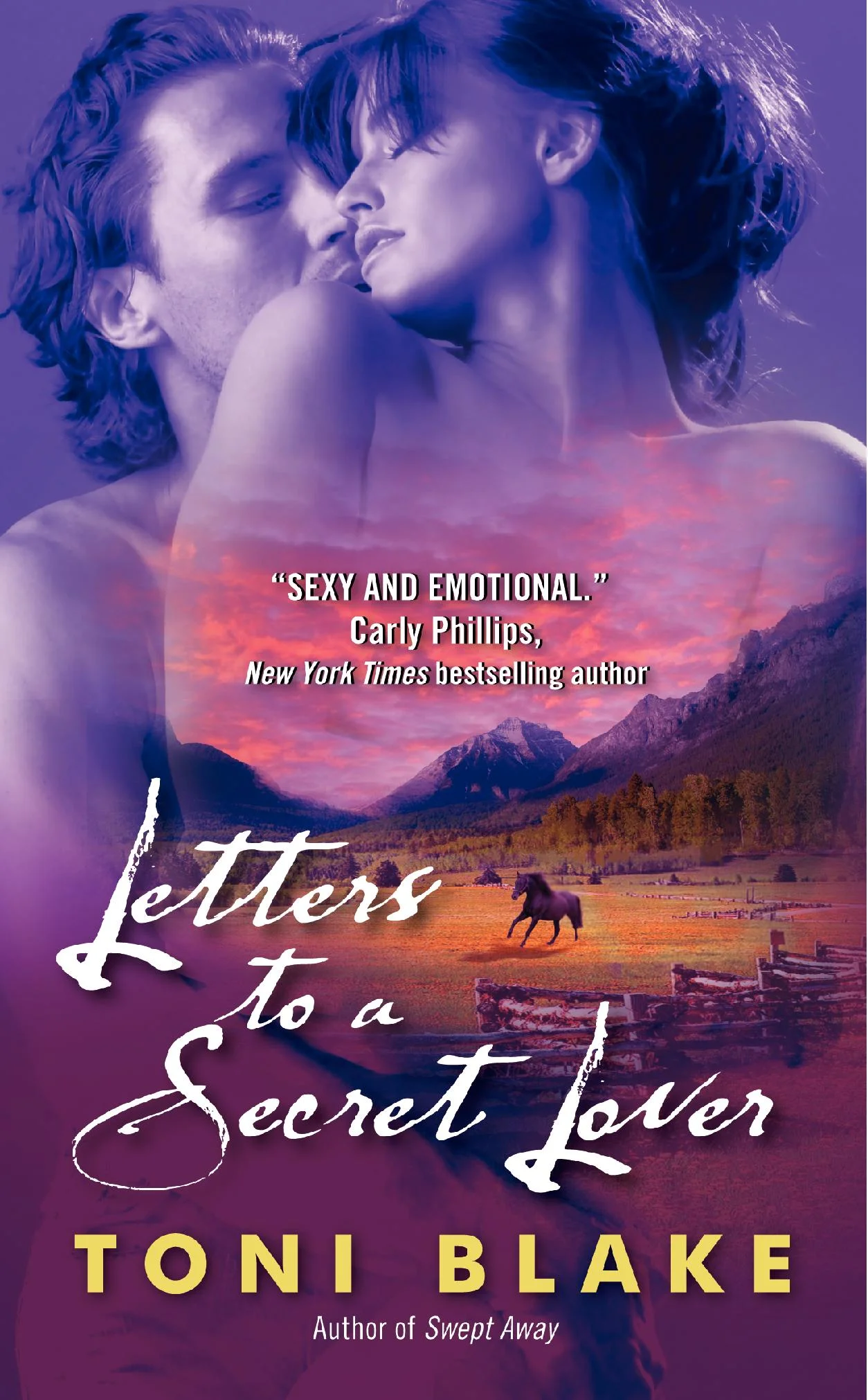 2008-letters-to-a-secret-lover.jpg