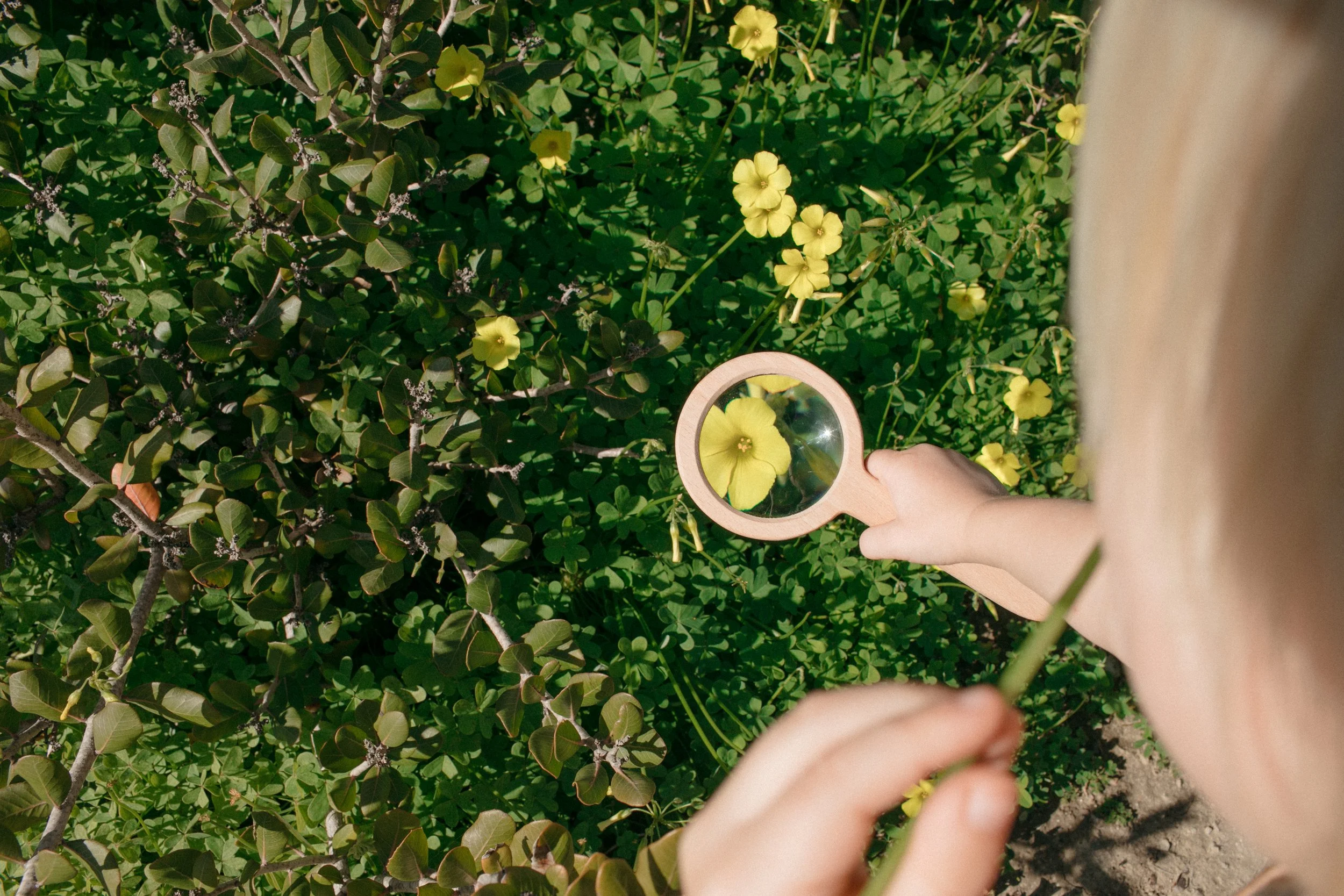 2019_03_14-13 copy.jpg