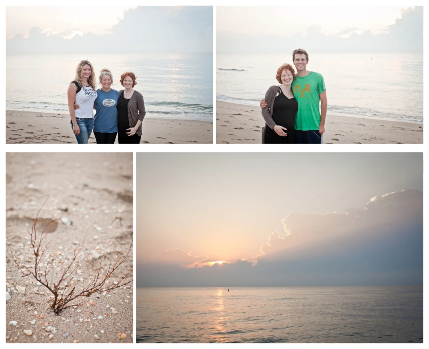 LilyGlassPhotography_rufus_015.jpg