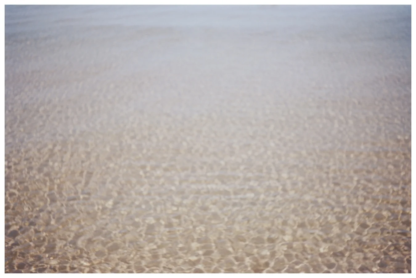 Lily Glass Photography Lake Michigan Fine Art Film Photography Columbus Ohio 