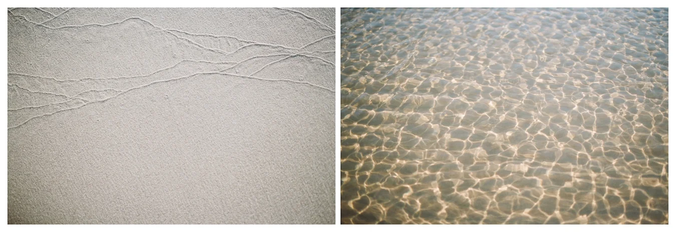 Lily Glass Photography Lake Michigan Fine Art Film Photography Columbus Ohio 