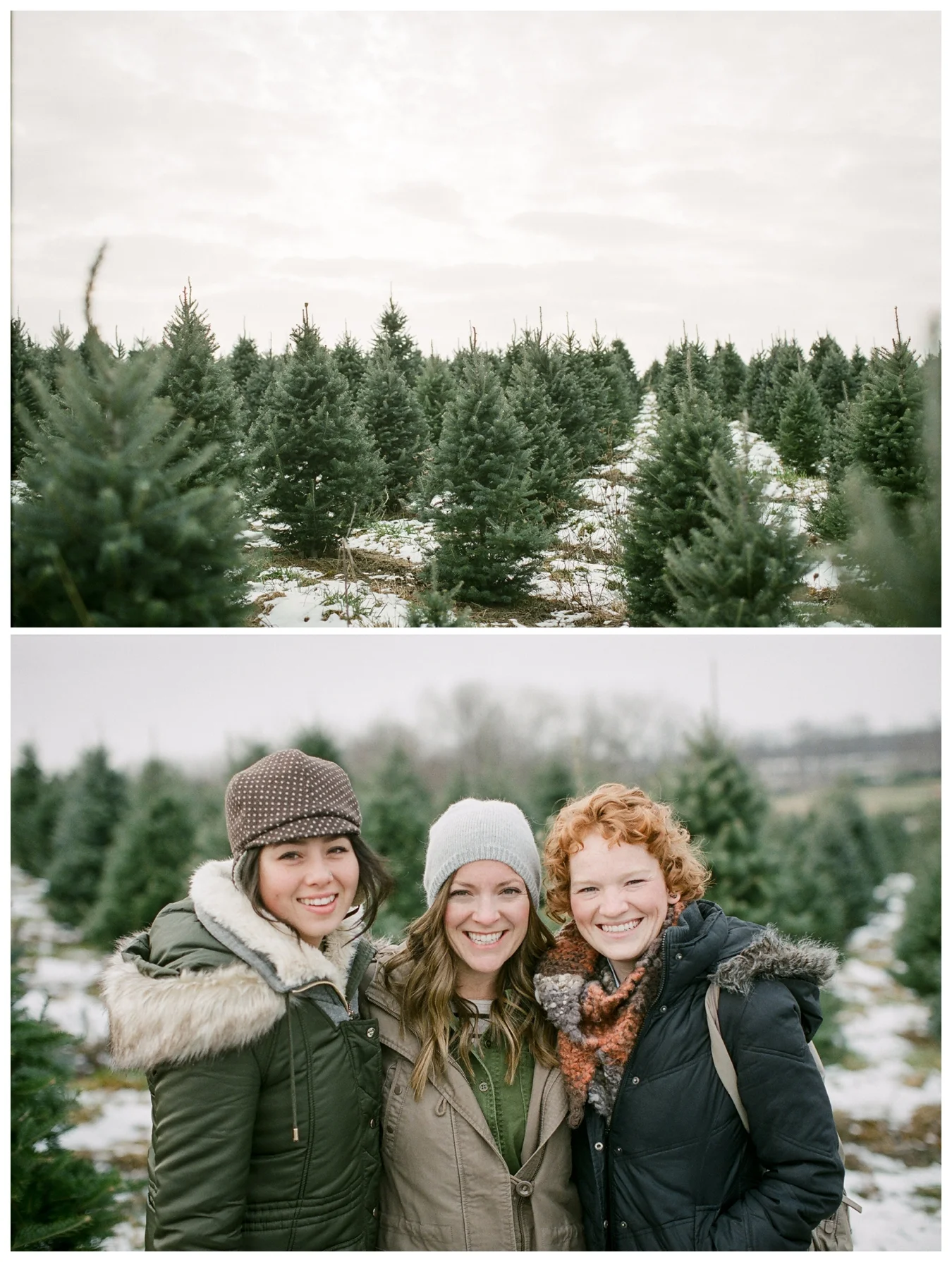 Christmas Tree Farm | Lily Glass Photography | Personal | FIlm from Richard Photo Lab