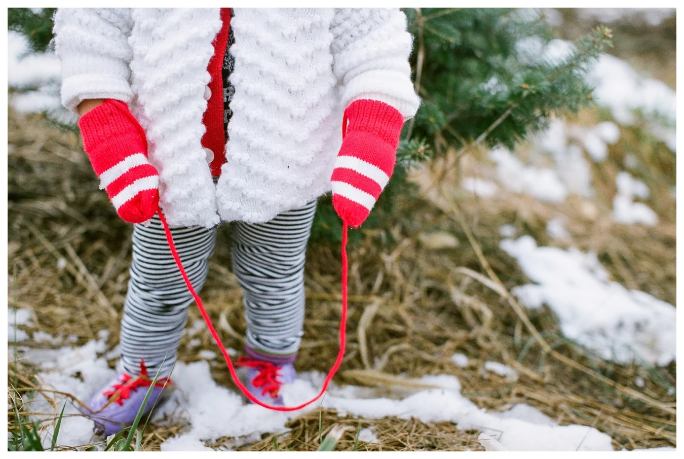 Christmas Tree Farm | Lily Glass Photography | Personal | FIlm from Richard Photo Lab