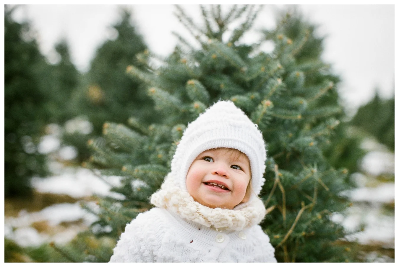 Christmas Tree Farm | Lily Glass Photography | Personal | FIlm from Richard Photo Lab
