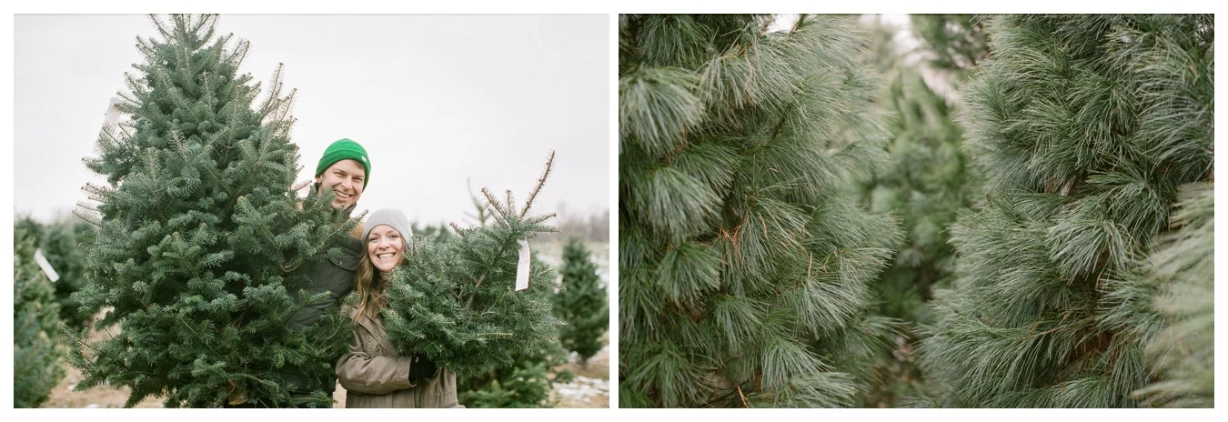 Christmas Tree Farm | Lily Glass Photography | Personal | FIlm from Richard Photo Lab