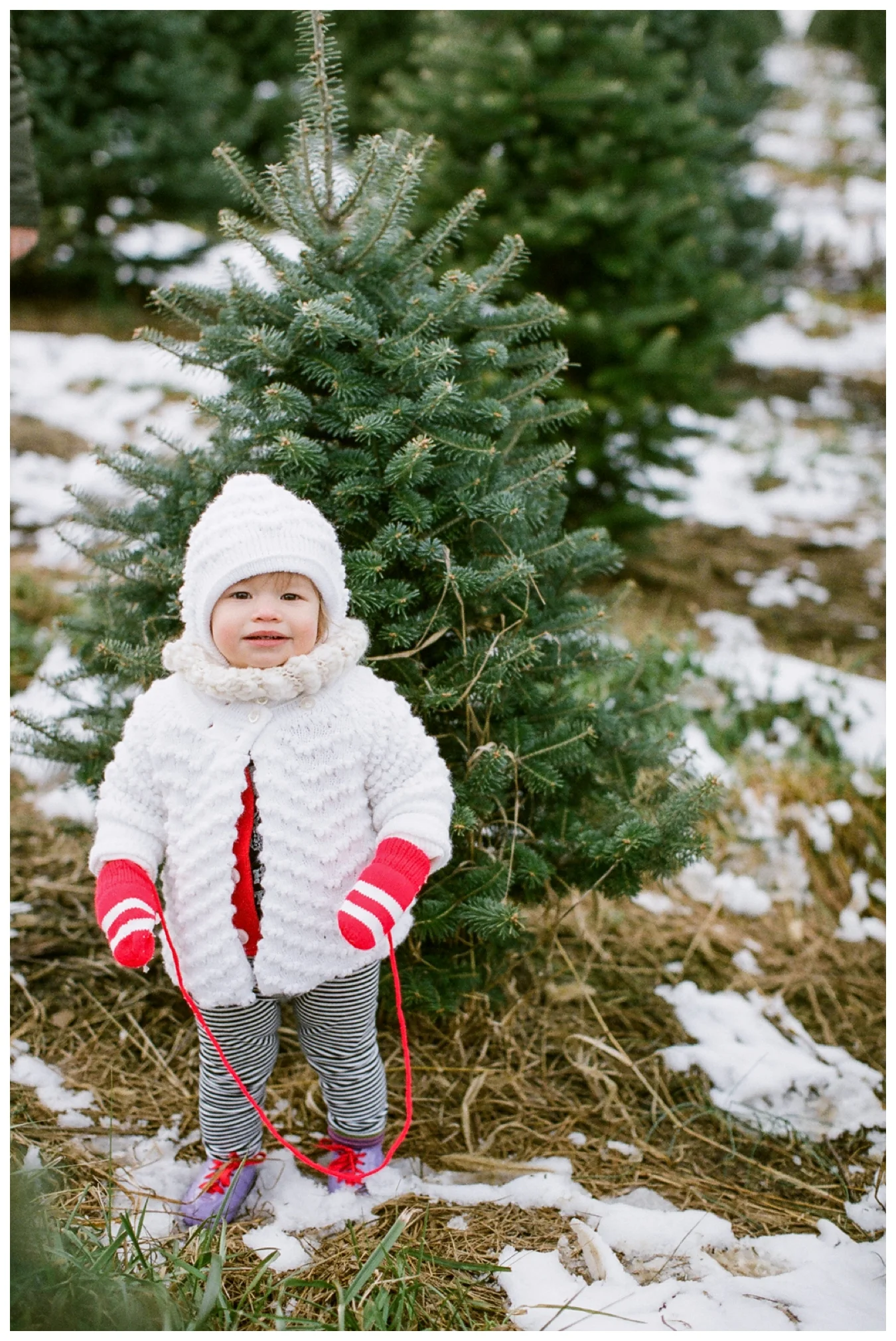 Christmas Tree Farm | Lily Glass Photography | Personal | FIlm from Richard Photo Lab