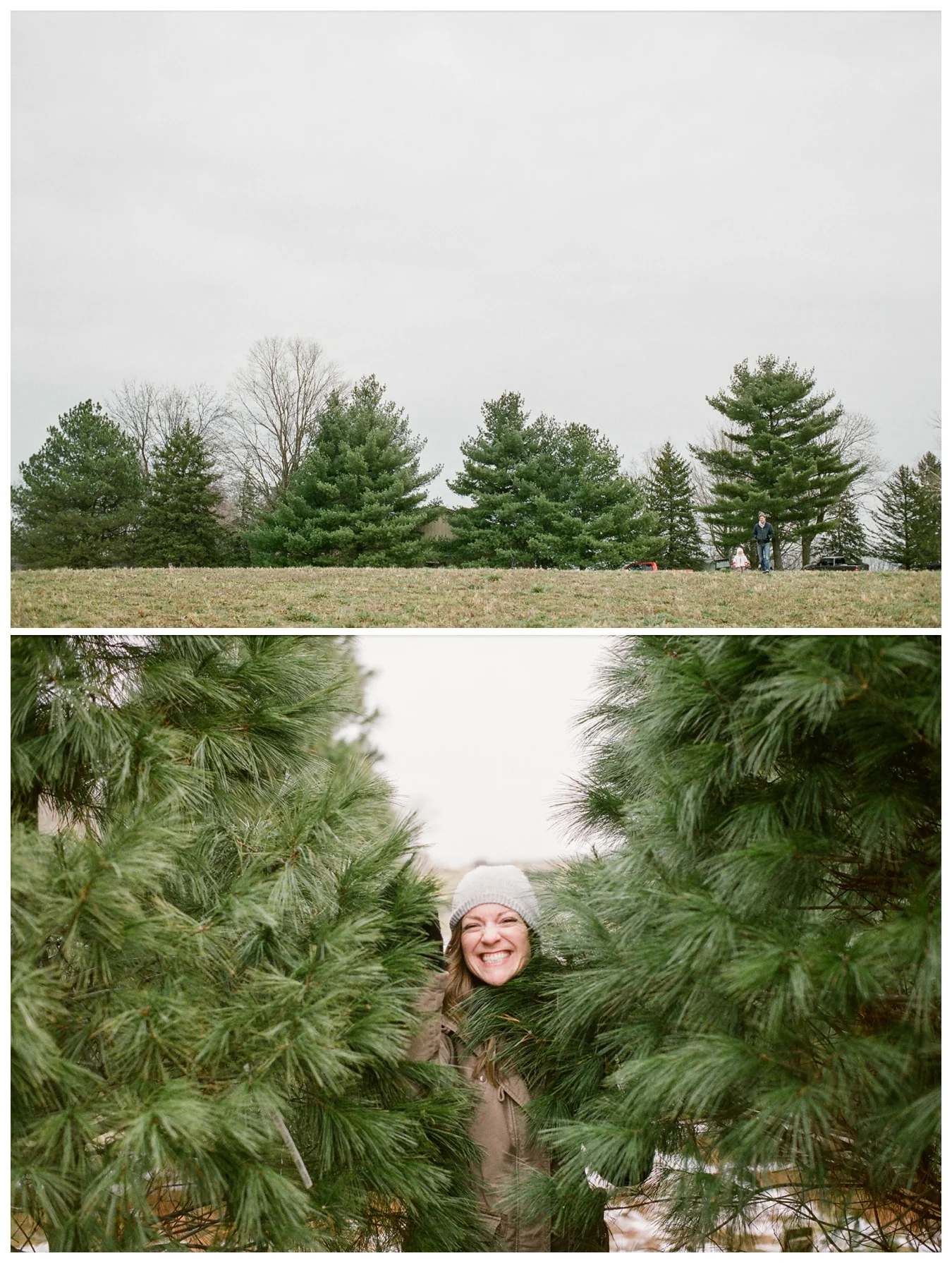 Christmas Tree Farm | Lily Glass Photography | Personal | FIlm from Richard Photo Lab