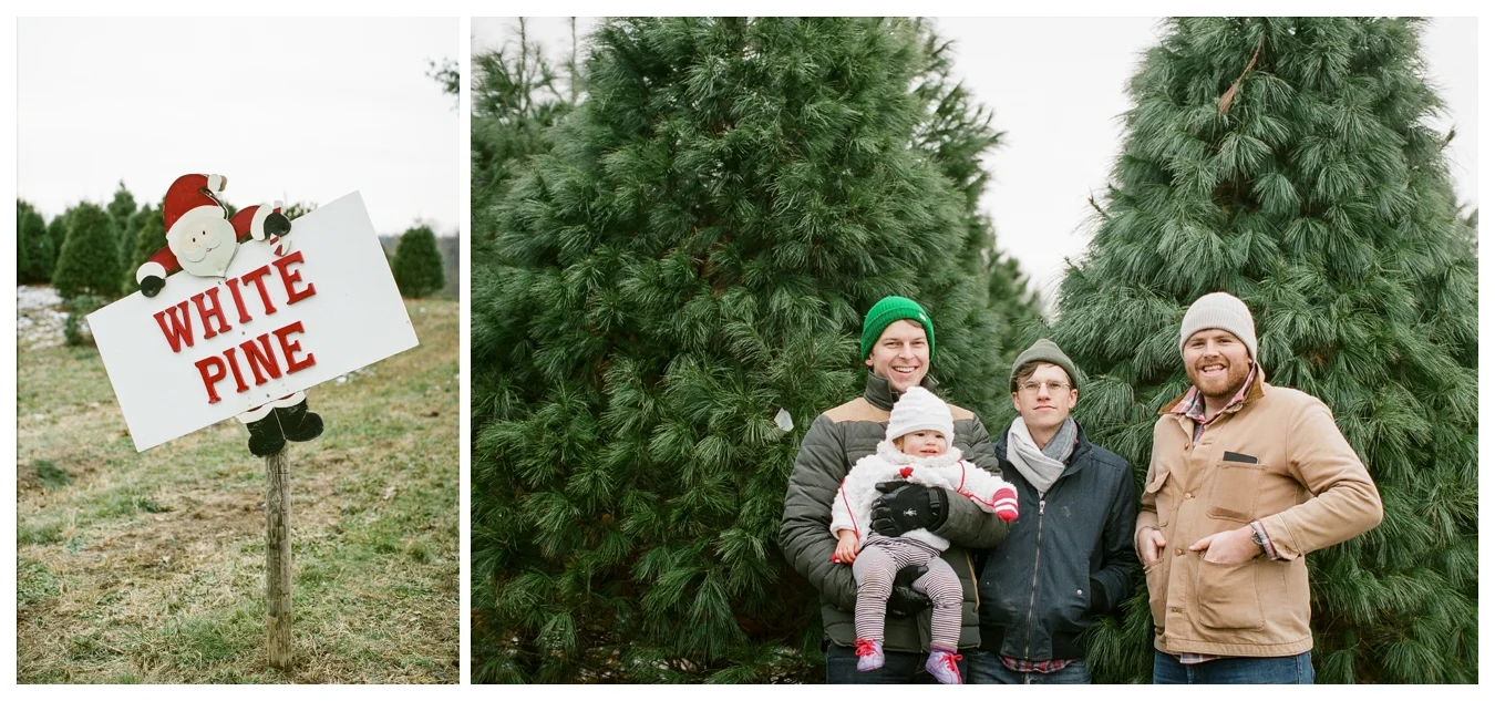 Christmas Tree Farm | Lily Glass Photography | Personal | FIlm from Richard Photo Lab