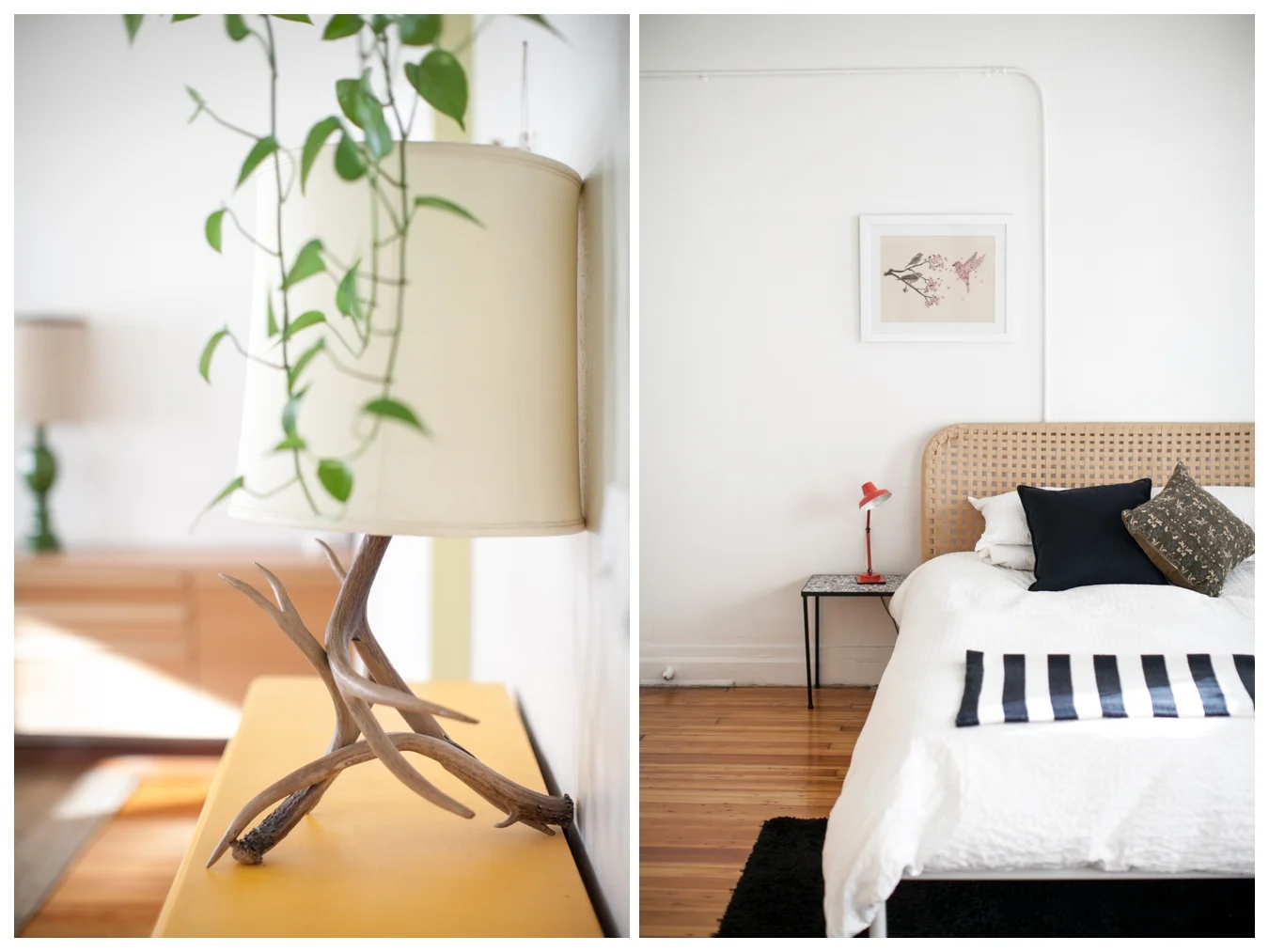 Lily Glass Photography Editorial 3B Bed & Breakfast, Brooklyn, NY
