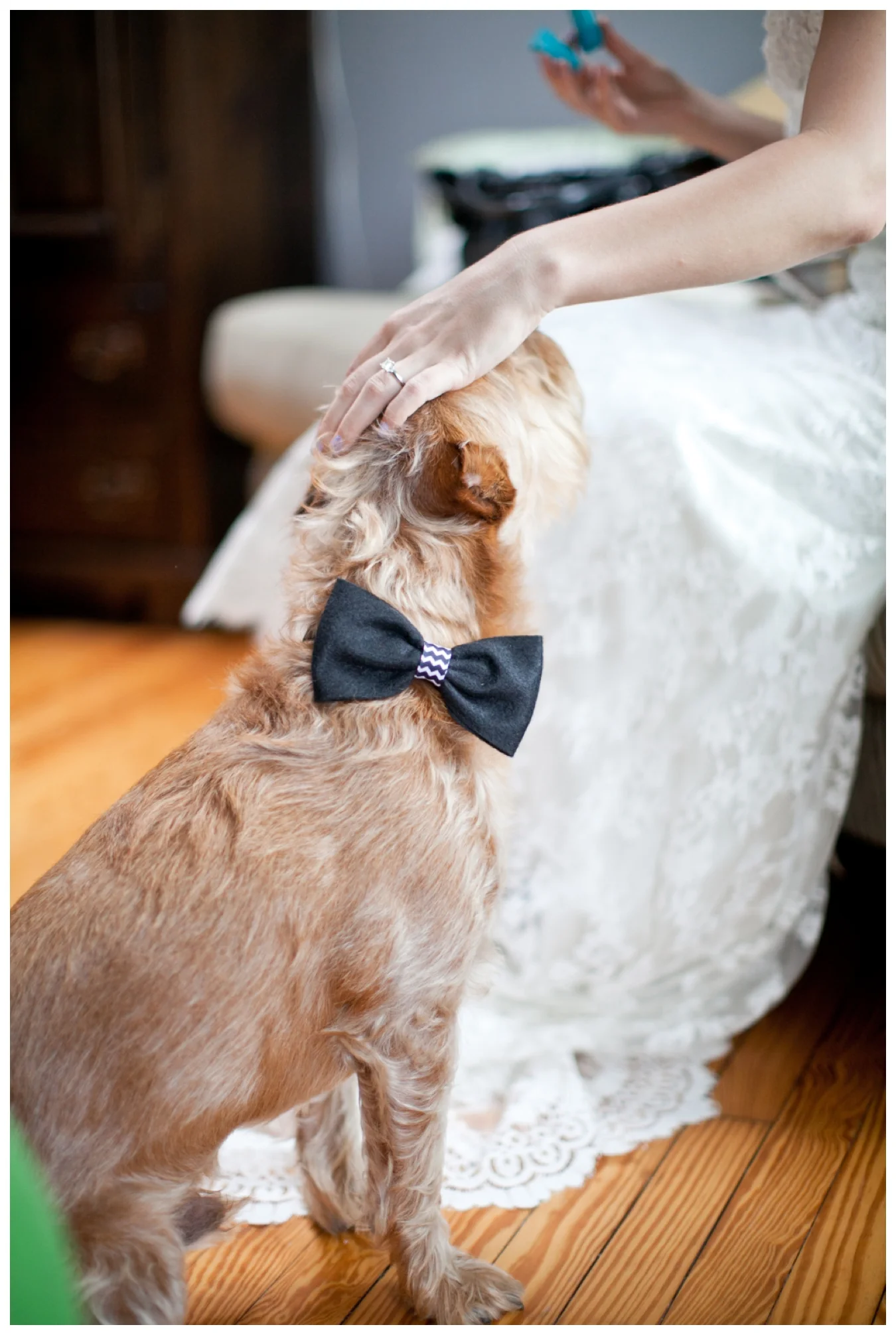 Lily Glass Photography Columbus, Ohio Northbank Park Wedding