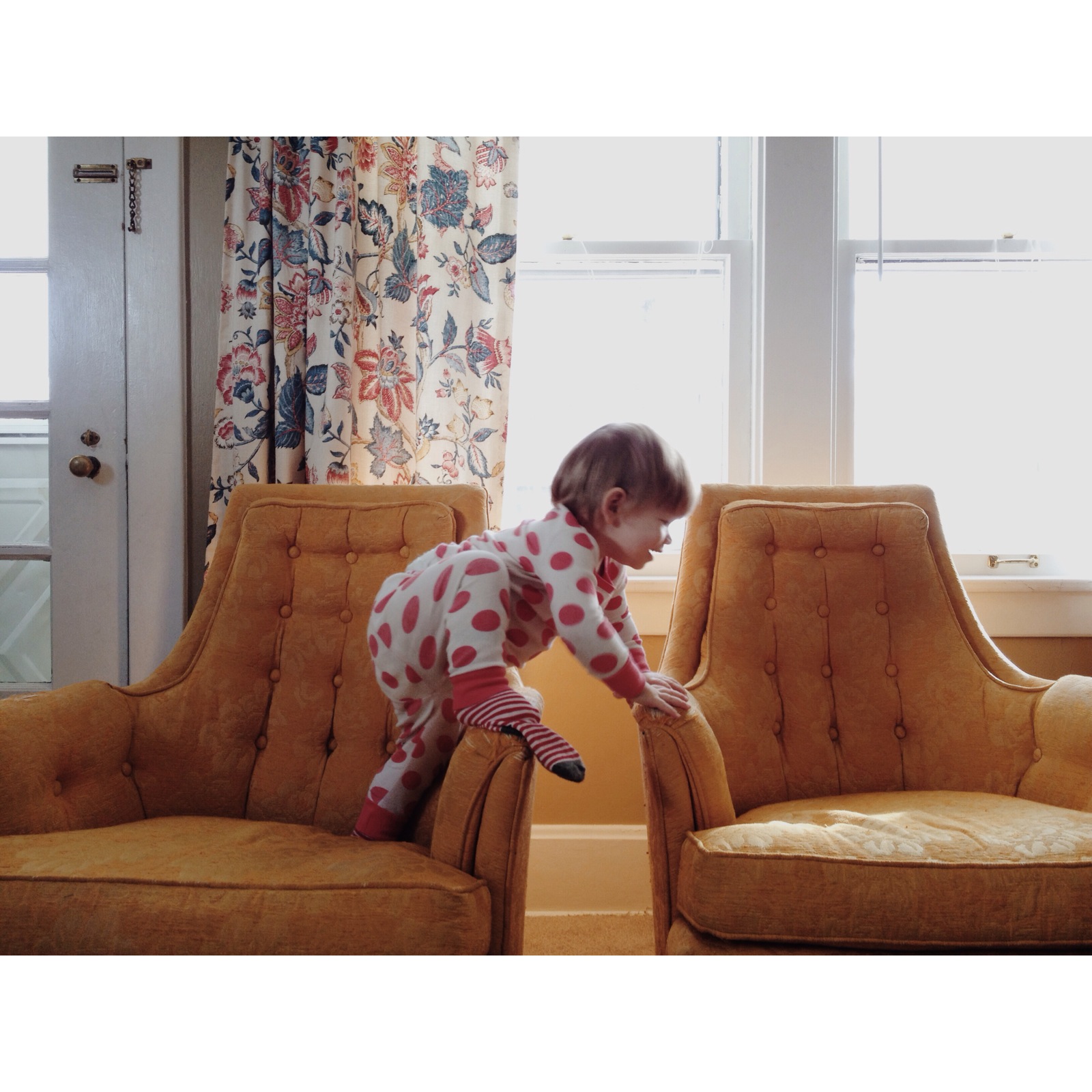 Tap the subject on your screen for proper focus and exposure. | 5 Tips for Better Phone Images
