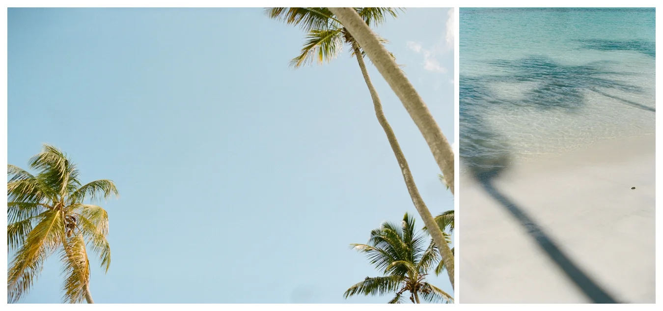 St. John USVI, Film by Lily Glass