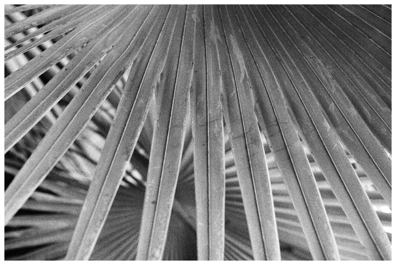 St. John USVI, Film by Lily Glass