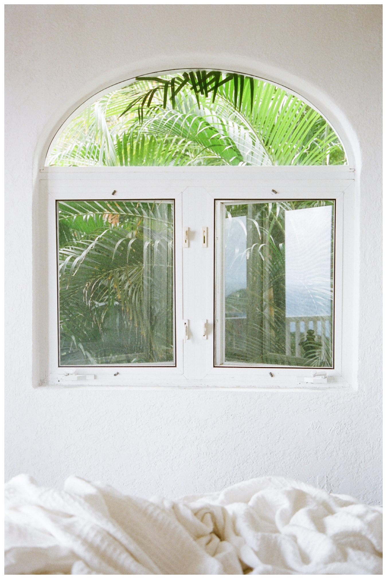 St. John USVI, Film by Lily Glass