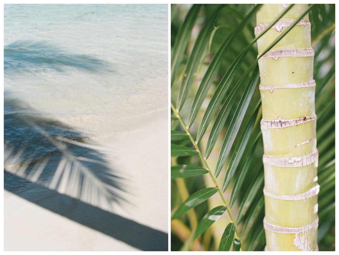 St. John USVI, Film by Lily Glass