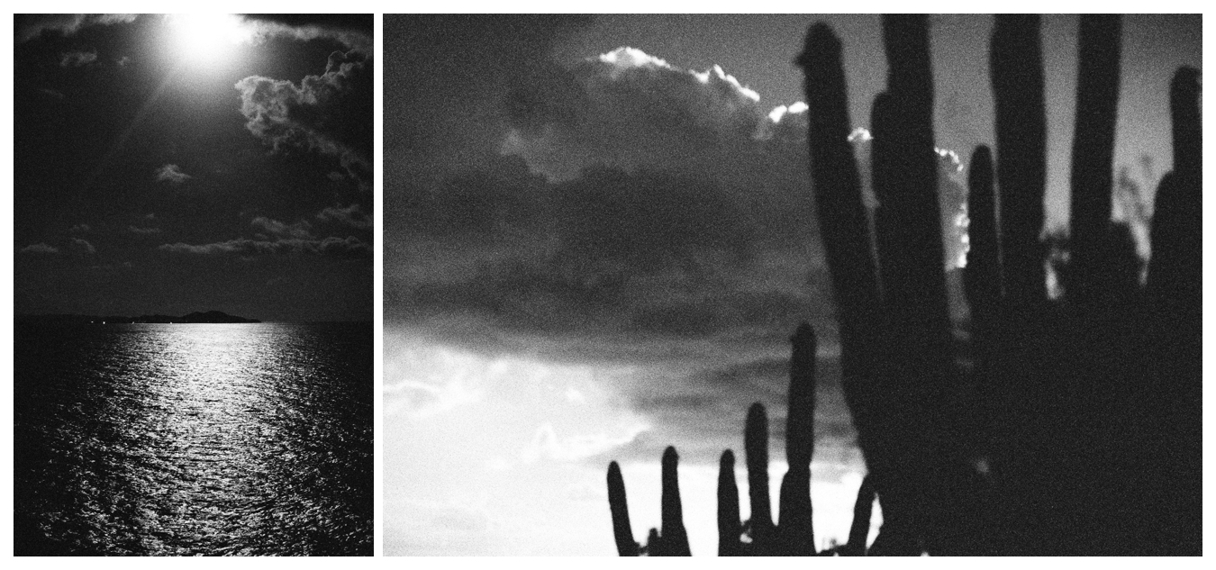 St. John USVI, Film by Lily Glass
