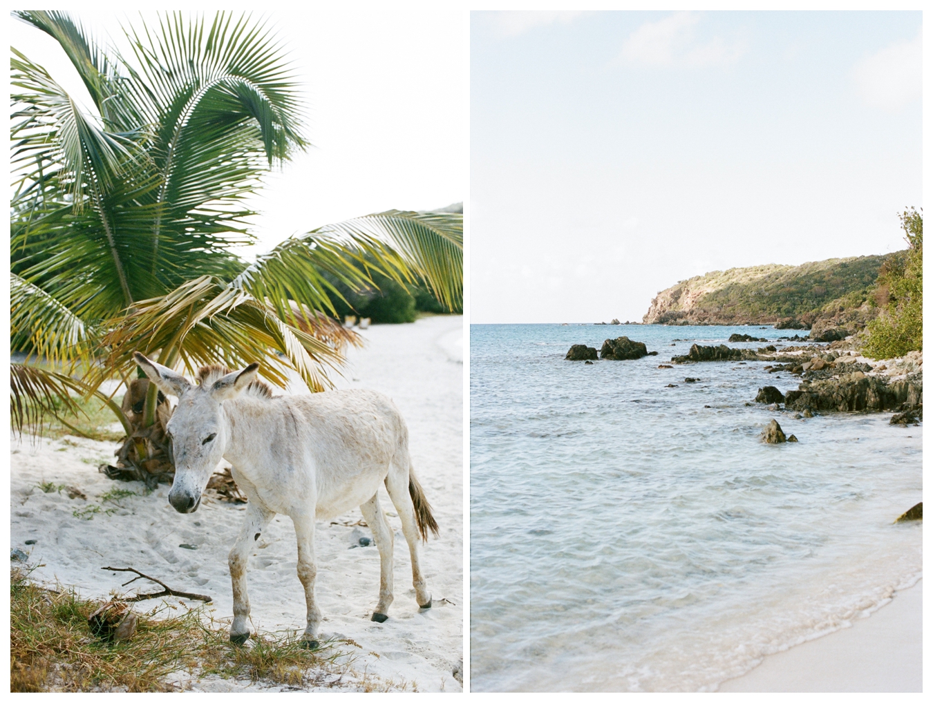 St. John USVI, Film by Lily Glass