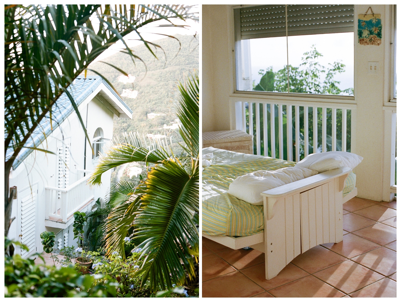 St. John USVI, Film by Lily Glass