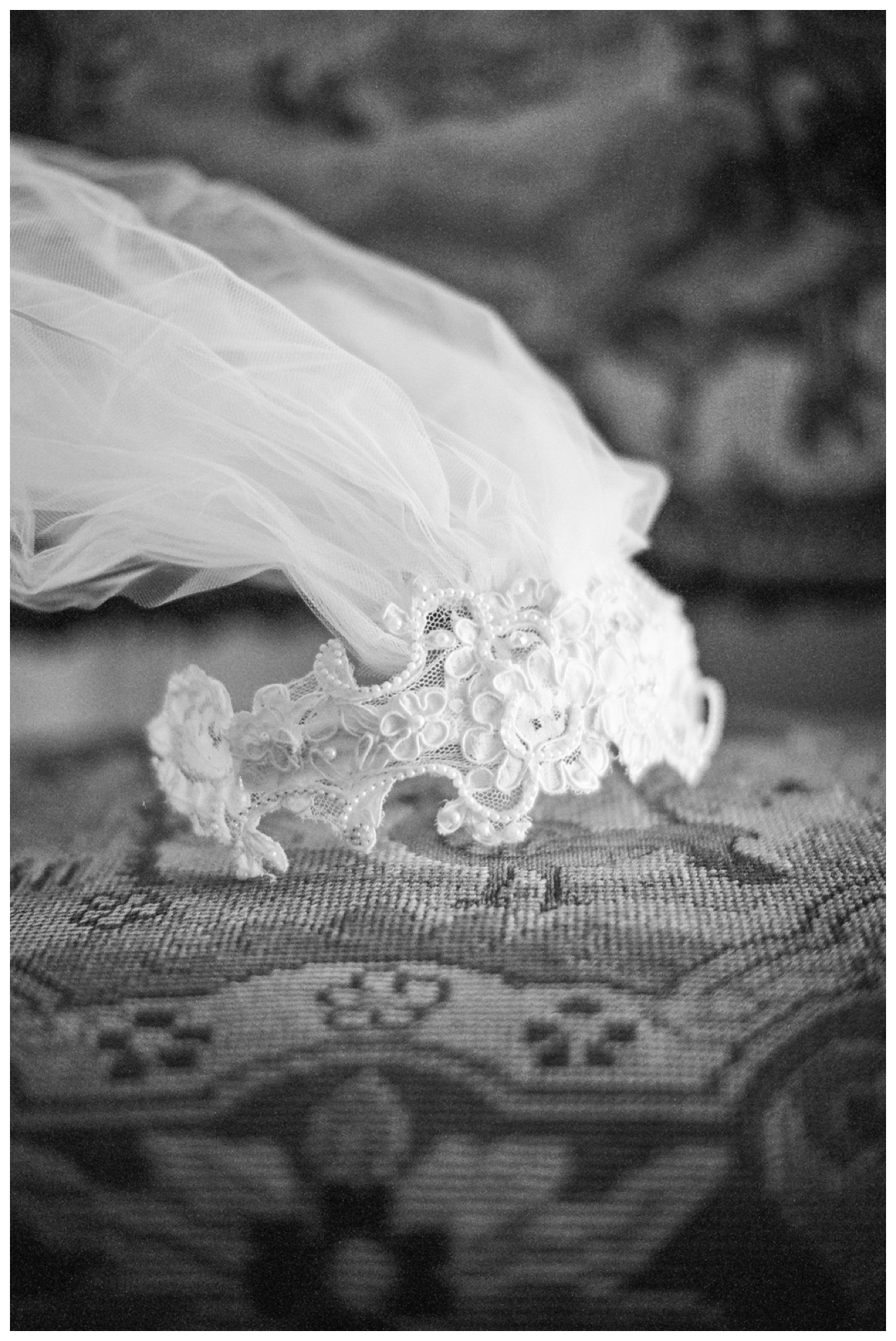 Backyard Southern Wedding | Lily Glass 