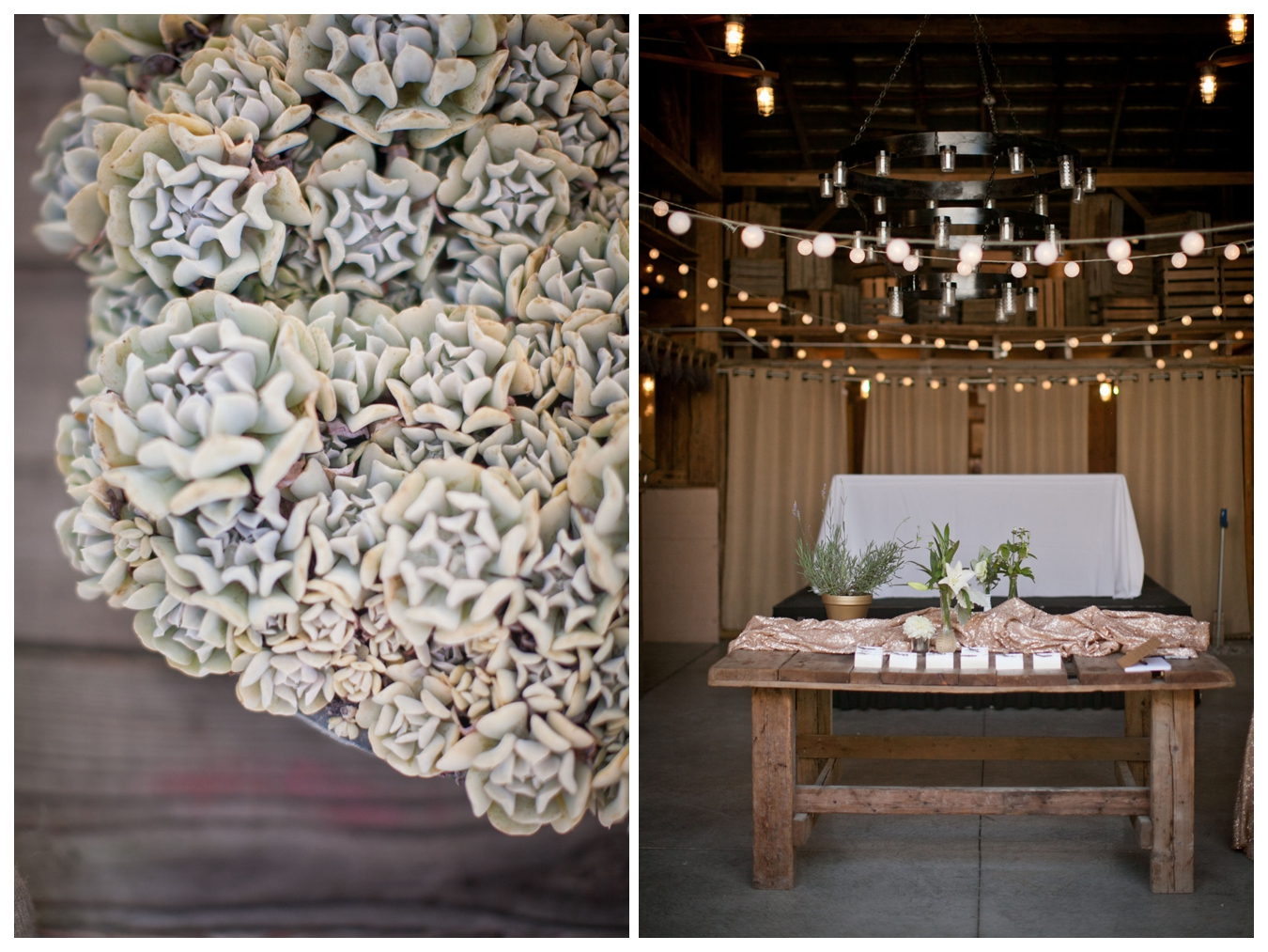 Jorgensen Farm Wedding | Lily Glass Photography