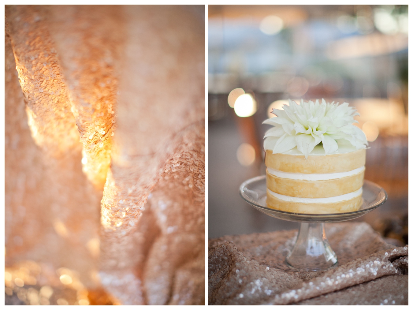 Jorgensen Farm Wedding | Lily Glass Photography