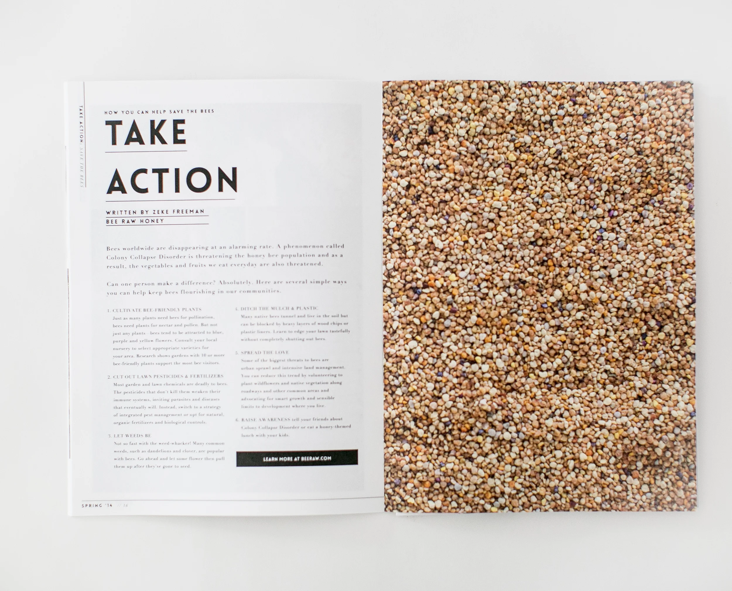 STUDY | A Single Topic Nature Journal by Hart + Honey