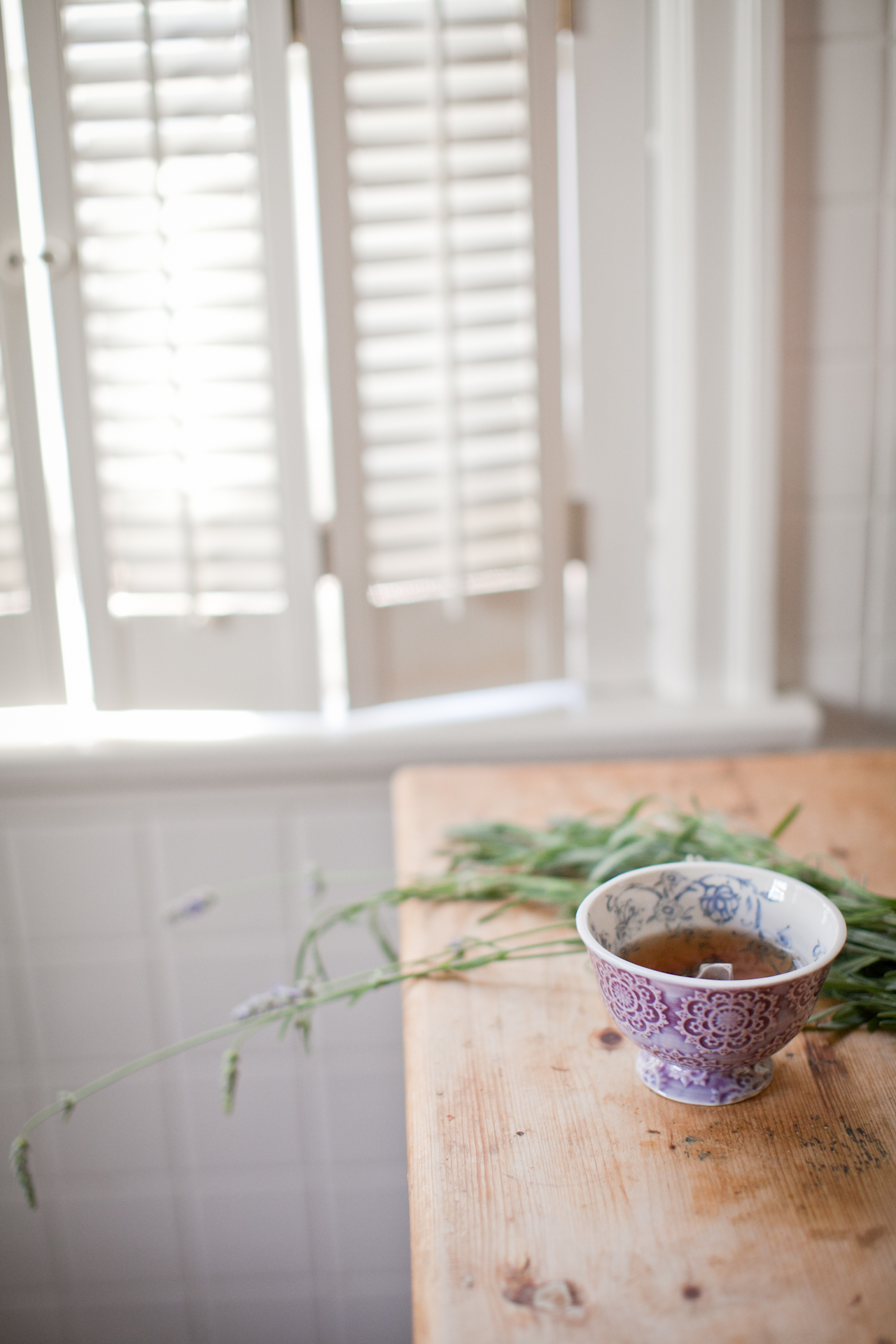 lily glass photography 
