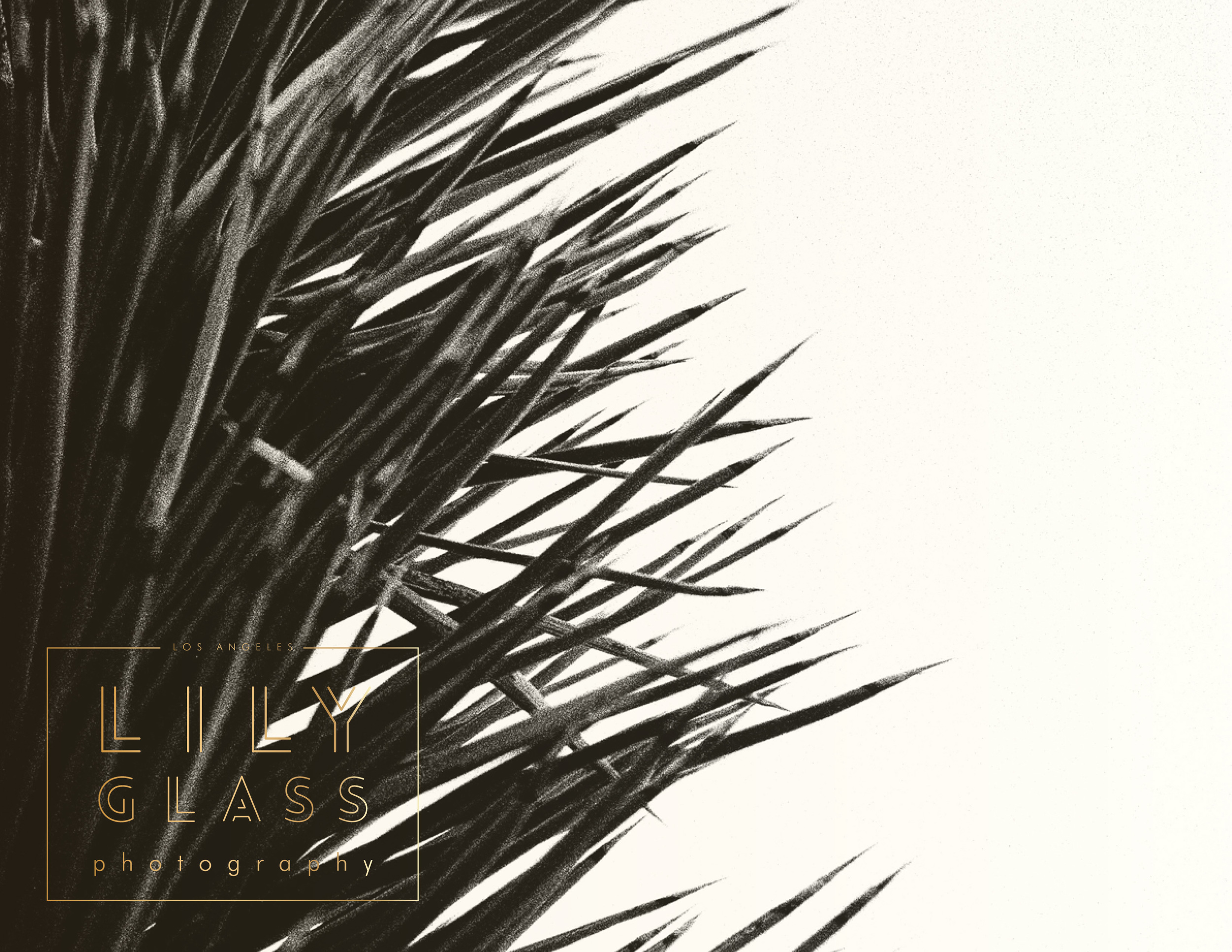 lily glass lookbook by Ginger + Birch